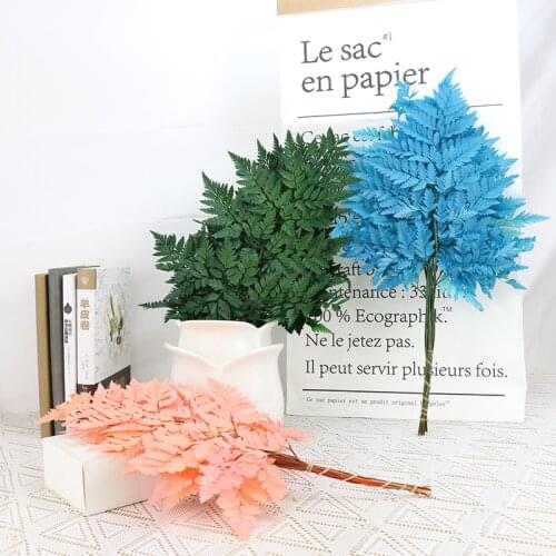 10pcs Natural Acacia Fern Davallia Mariesii Fresh-Cut Preserved Dried Flower Photograph Garden Bookroom Home Art Life Decoration