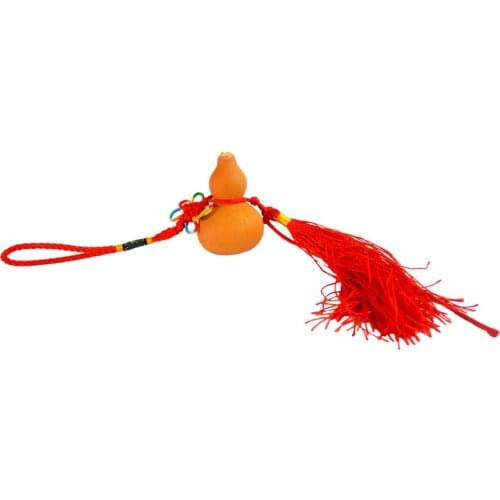 One Feng Shui Natural Wu Lou (Wu Lu) Gourd Hanging Amulet E2031