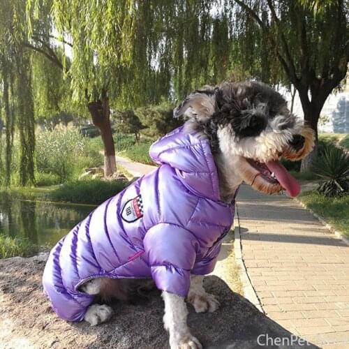 Warm Dog Clothes for Winter Snow Day Soft Waterproof Puppy Jackets Pet Clothing for Small Medium Dogs Luxury Coat Christmas Gift