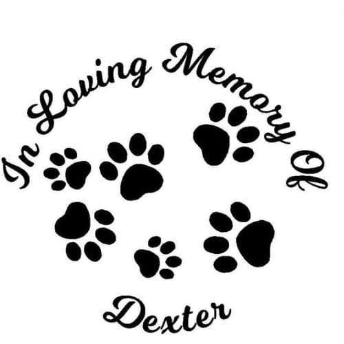 14.6CM*13CM In Loving Memory of Pet Cat Dog Vinyl Decal Paw Prints Car Styling Accessories Car Stickers Black/Sliver C8-0289