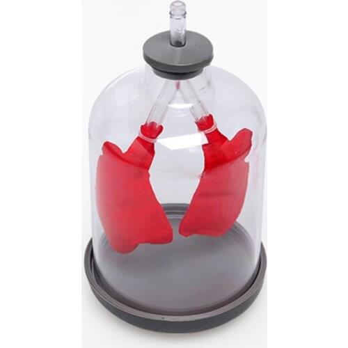 Simple breathing model pumping gas simulates lung function model education supplies 21cm*11cm