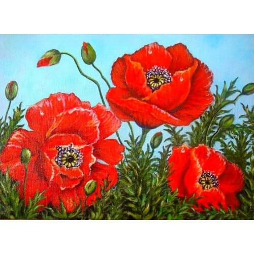 JMINE Div 5D Red Poppy Flower Full Diamond Painting cross stitch kits art High Quality Floral 3D paint by diamonds