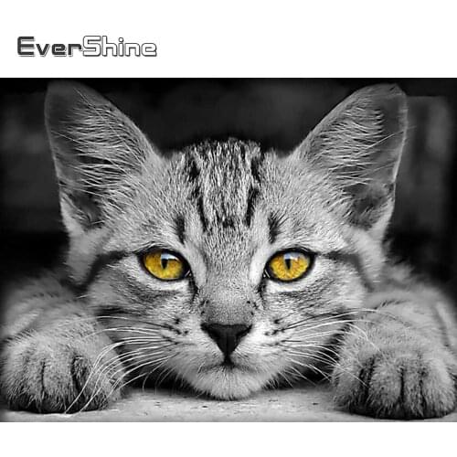 EverShine DIY Diamond Mosaic Animals Picture Rhinestones Diamond Painting Cat Cross Stitch Bead Embroidery Kits Home Decor
