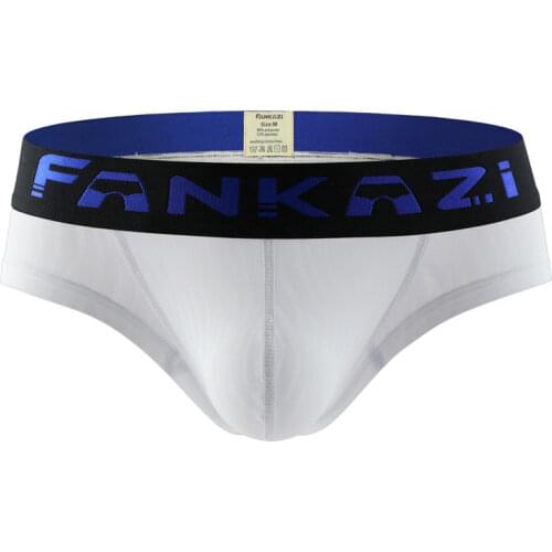 Ropa interior hombre underpants water pattern sexy gay underwear men ice silk slip hombre briefs men sous vetement homme majtki