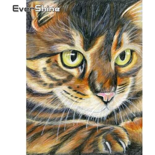 EverShine Diamond Painting New Arrivals Cat Picture Rhinestones Diamond Embroidery Cross Stitch Animals Handmade Wall Decoration