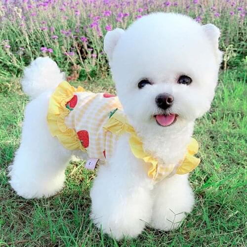 Princess Dog Dress Puppy Chihuahua Pet Skirt Clothing For Dogs Pet Clothes For Small Dog Wedding Costume Ropa Perro Pet Clothing