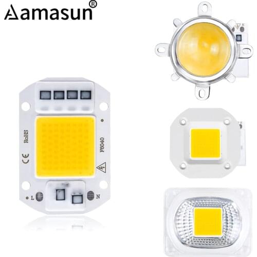50W 30W 20W Smart IC COB LED Chip Bead with 60/120 Degree Lens Reflector Bracket 110V 220V Diode Matrix Spotlight DIY Floodlight