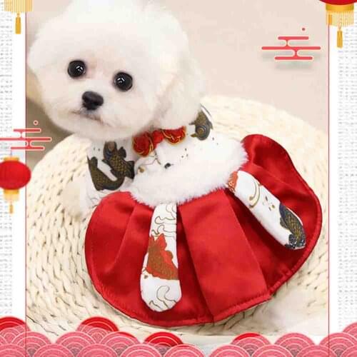 Koi Dress Pet Dog Clothes Thicken Cotton Clothing Dogs Super Small Costume Cute Warm Chihuahua Print Winter White Dress Mascotas