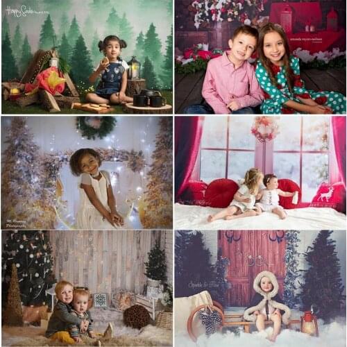 Photography Background Winter Snow Portrait Newborn Head Shot Backdrop for Photo Studio Photocall Christmas Snowflake Windows