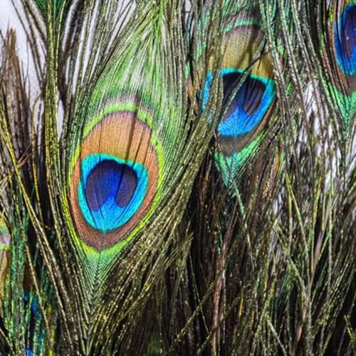 10pcs Real Natural Peacock Tail Eyes Feathers Diy Needlework Wedding Festival Party Room For Hotel Vase Wedding Decoration #W2