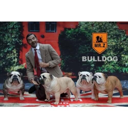 Mr.Z Real Animal Series No.6 1/4 Z001-008 British Bulldog Resin Statue for 18" Collectible Action Figure Scene Accessories