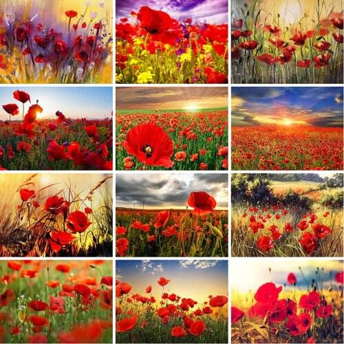 Evershine 5D Diamond Painting Poppy Flower Cross Stitch Full Square Diamond Embroidery Sale Rhinestone Mosaic Home Decoration
