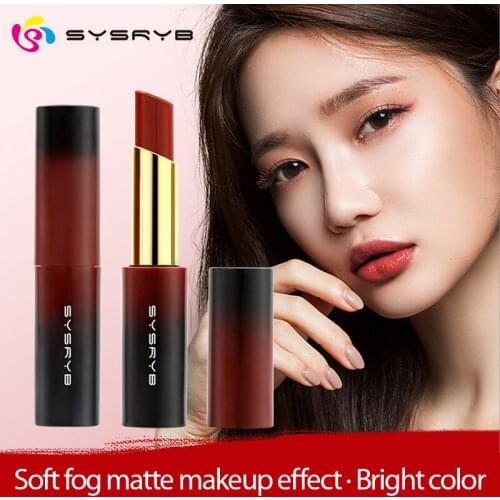 SYSRYB Waterproof Lipstick Sexy Lip Stick Matte Lipsticks Lip Makeup Cosmetics Labiales Matte Red Lip Tint Beauty Cosmetic TSLM1