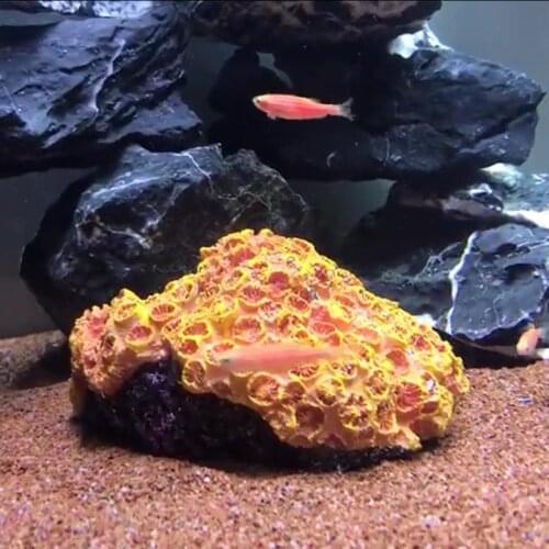 Aquarium Coral Ornaments Resin Betta Fish Hide Cave Shrimp Hideouts Fish Tank Landscape Aquatic Plants Accessories