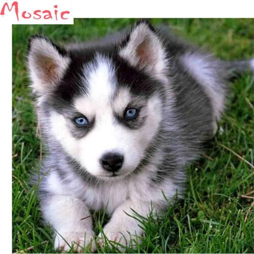 Diamond Embroidery DIY Diamond Painting Cross Stitch Kit Husky,Pet Dog,Animal, 5D Needlework Diamond Mosaic Home Decoration