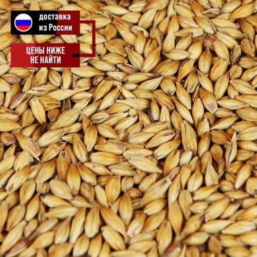 Курский солод Equipment For Brewing And Winemaking