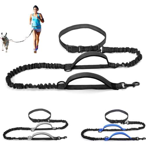 Первый питомец PETLOVEY China At AliExpress