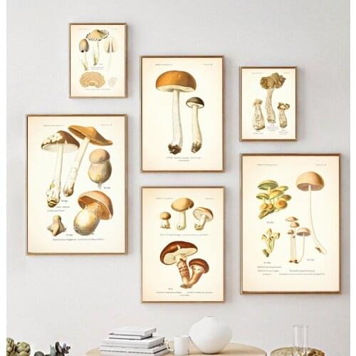 Atlas Of Edible and Poisonous Mushrooms Canvas Print Vintage Botanical Posters Wall Art Painting Picture Living Room Home Decor