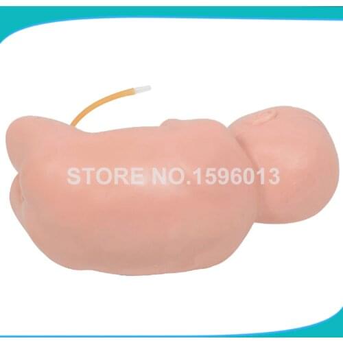 Newborn Baby Lumbar Puncture Simulator, Medical Neonatal Nursing Care Manikin Doll