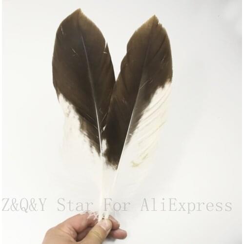 Natural20-25CM and 25-30CM rare starling feathers 5-20 PCS DIY collection crafts headdress earrings accessories feathers