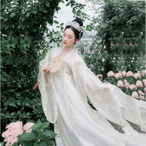 Ancient Chinese Women Hanfu Costume Princess Fairy Dress Oriental Embroidery Tang Dynasty Cosplay Stage Dance Outfit DWY2821