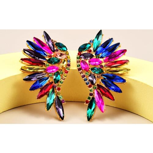 Erings Piercing Earrings