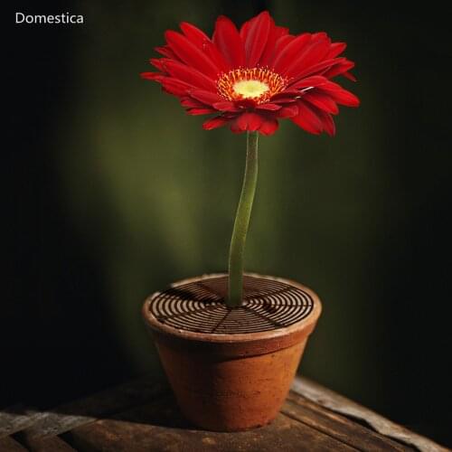 1/5pack Flower Protection Accessories Garden Plant Pot Soil Guard Cover Generous Grid Frame Home Brown Can Be Cut Baby Safety