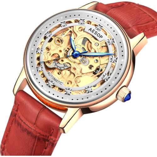 Aesop Mechanical Women Bracelet Watch Skeleton Automatic Wristwatch Mesh Stainless Steel Band Female Clock Chic Reloj Mujer