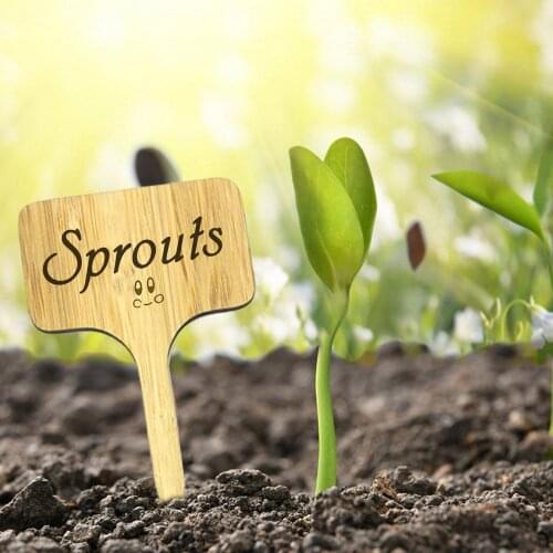 10pcs Plant Labels Wooden Eco-Friendly T-Type Plant Sign Tags for Plant Flowers Seed Vegetable Garden Decoration Tray Mark Tools