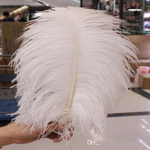 Wholesale 10 pcs High quality beautiful ostrich feather 40-45cm/16-18 inches U pick Color Wedding centerpiece decor