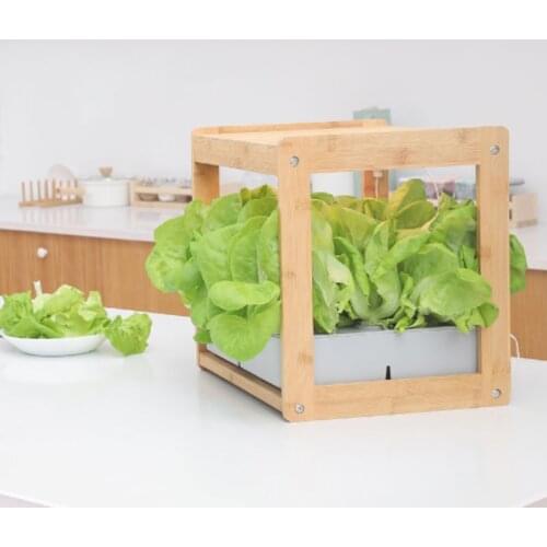 New Hydroponics Growing System With Planting Light Smart Garden