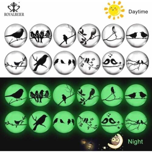 ROYALBEIER 12pcs/lot Mix Colors Luminous Series 18mm Glass Interchangeable Snap Button Jewelry Glow in the Darkness KZ1205