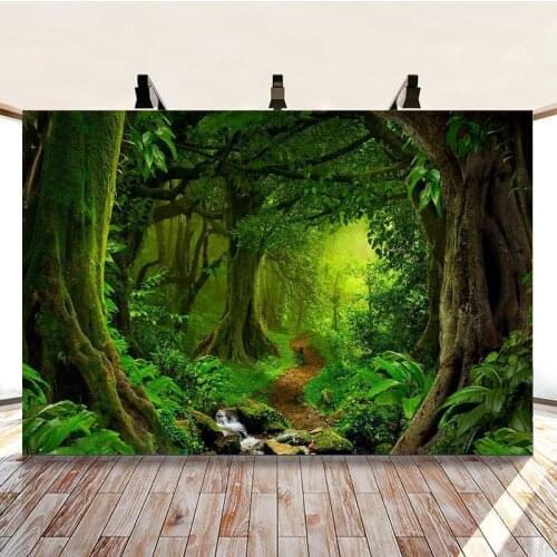 Spring Filled with Green Forest Stream Path Happy Trip Picture Background Studio Photography Photo Cloth Can Be Customized