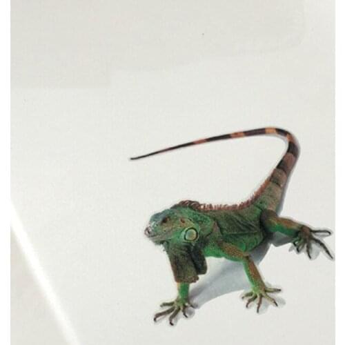 3D car sticker spider gecko scorpion for Geely Vision SC7 MK CK Cross Gleagle SC7 Englon SC3 SC5 SC6 SC7 Panda