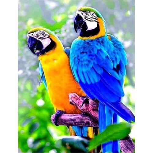 5D DIY Diamond Painting Full square round Diamond Embroidery Animal Parrot Brothers Cross Stitch mosaic Painting birds TT5340