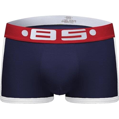 2020 BS Brand Men Boxer Underwear New Cotton U Pouch Sexy Underpants Cueca Cotton Pants Boxer shorts Male Panties BS40