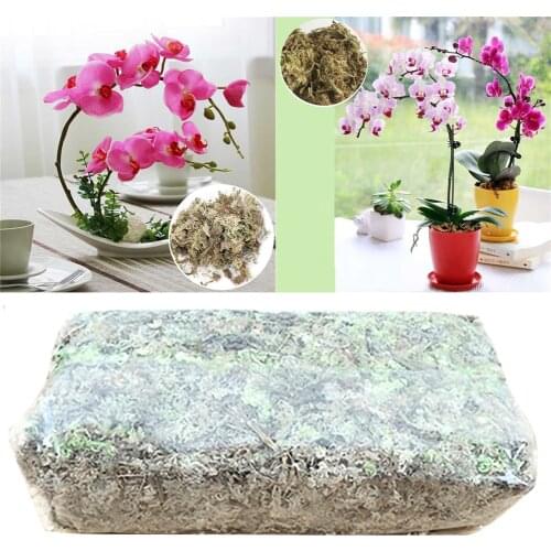 12L Sphagnum Moss Nutrition Organic Fertilizer For Orchid Phalaenopsis Musgo Sphagnum Flower Home Garden Supplies Tools