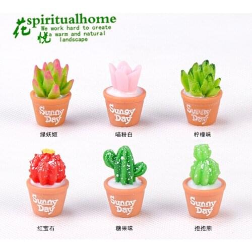 6pcs/set Mini Cactus Flower Miniature Figurines Pot Succulent Plants Fairy Garden Kiniature Ornament Dollhouse Home Decor