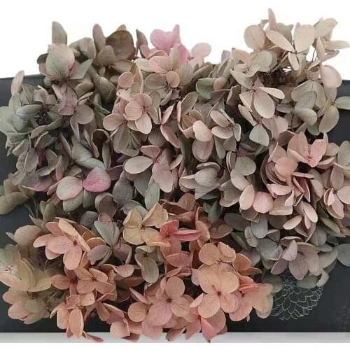 20g/lot,Grade A Eternal Gradient color Hydrangea,Natural Flower Head for Wedding Decoration,Eternal rose bride to be Headwear
