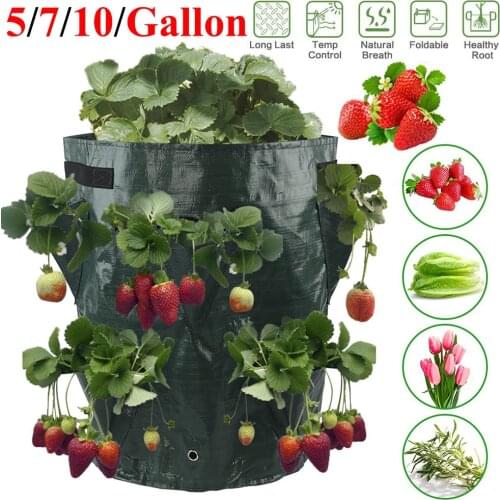 5/7/10 Gallon PE Strawberry Planter Grow Bags Potato Pot Gardening Pots Home Jardin Flower Veg Tomato Planting Tools Container