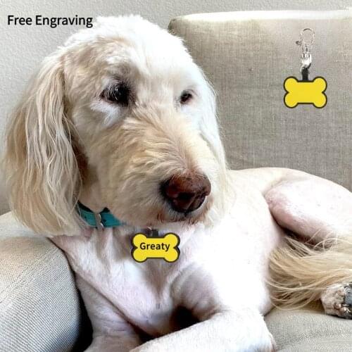 NQCT Funny Pet Products For Dogs