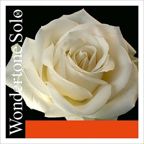 Pirastro Wondertone Solo 4/4 Violin String Set (410021)- Medium Gauge