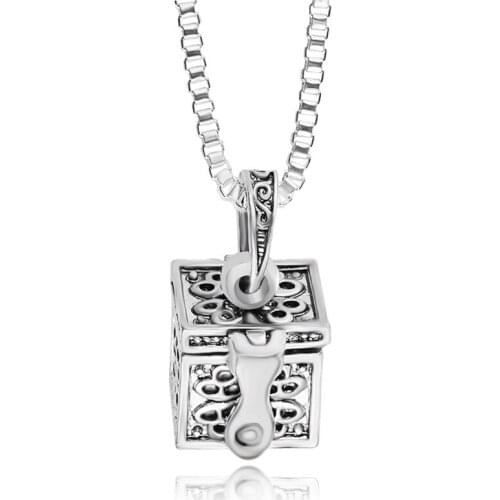 Retro Jewelry Fashion Treasure Box Magic Box Animal Pet Ashes Box Alloy Pendant Necklace Can Be Opened Hair Memorial Coffin