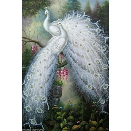 Art Oil painting :two male peacocks