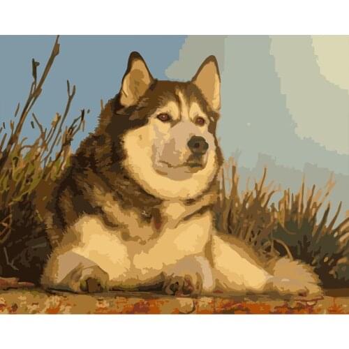 DIY Painting By Numbers animal dog Drawing On Canvas HandPainted Painting Art Gift DIY Home Decoration
