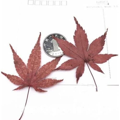 Dfoneplus Artificial Leaves