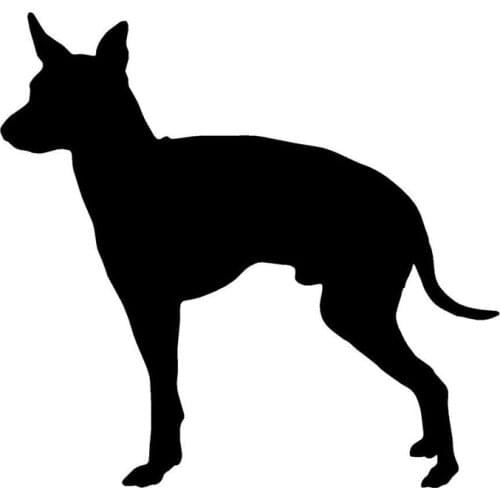 13.2*12.7CM English Toy Terrier Dog Window Decorative Sticker Decal Cute Animal Car Styling Accessories C6-0600