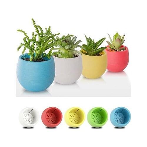 Mini round Shaped Plastic Office Decor Succulents Flower Seed Planter Pot