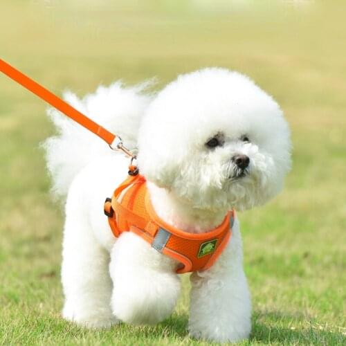 Dog Vest-Style Chest Strap Breathable Comfortable And Firm 360-Degree Reflective Surround With 1.5M Leash Pet Supplies