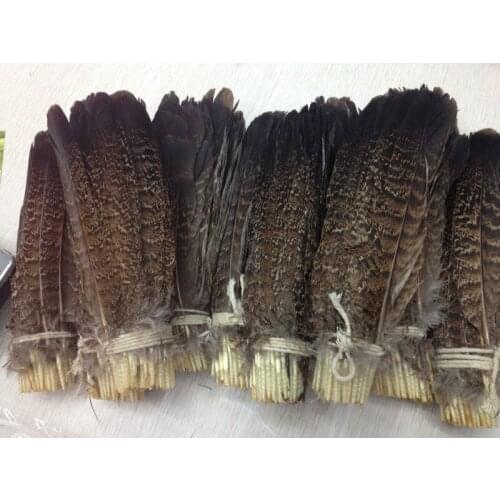 Free shipping wholesale high quality 100pcs scare natural eagle feather 20-25cm/8-10inch Decorative diy collect